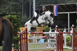 bild_dominique_pferd_champion_babenhausen