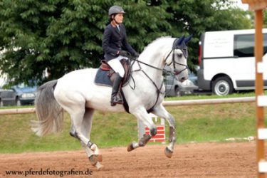 bild_dominique_pferd_talerio_galopp