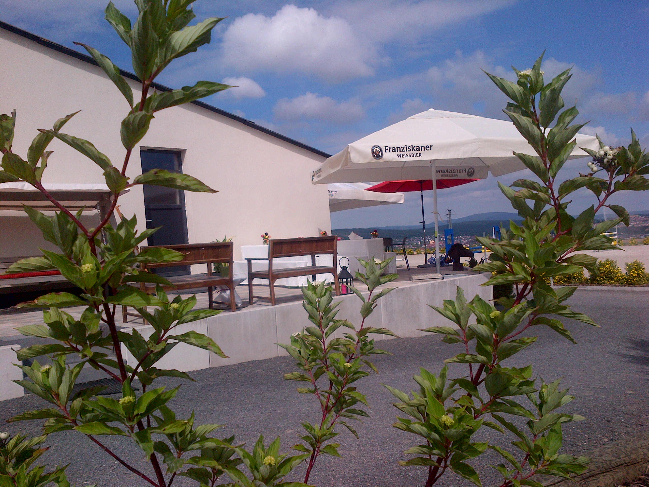 Hettenleidelheim-20160717-01929