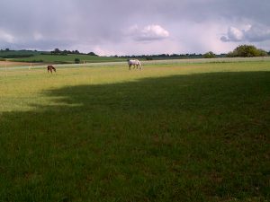 Tiefenthal-20150520-00227 (2)