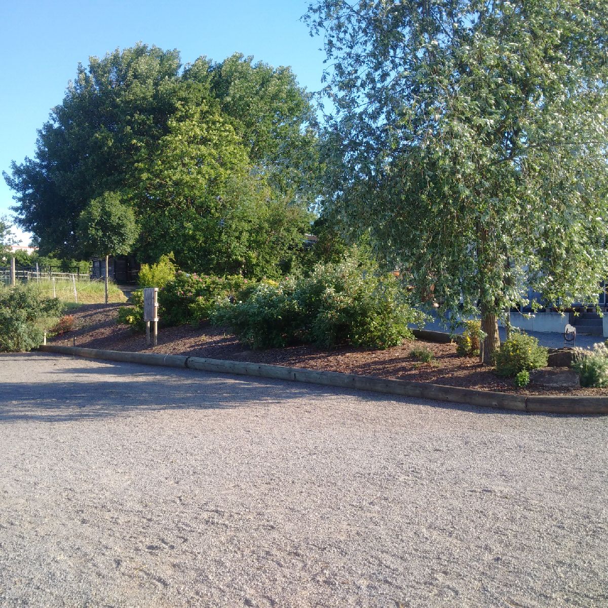 IMG_20200531_185253 (2)