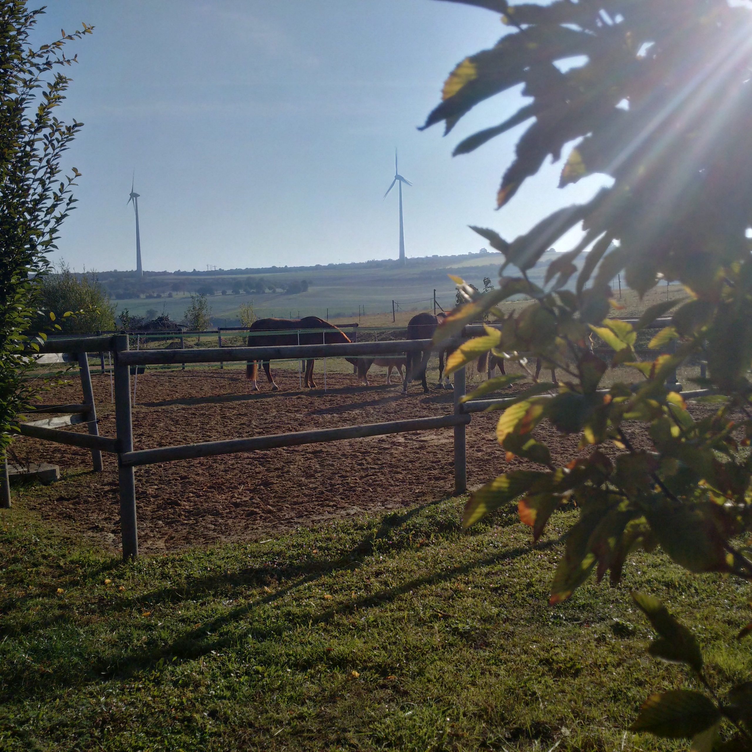 IMG_20211010_100723_hdr