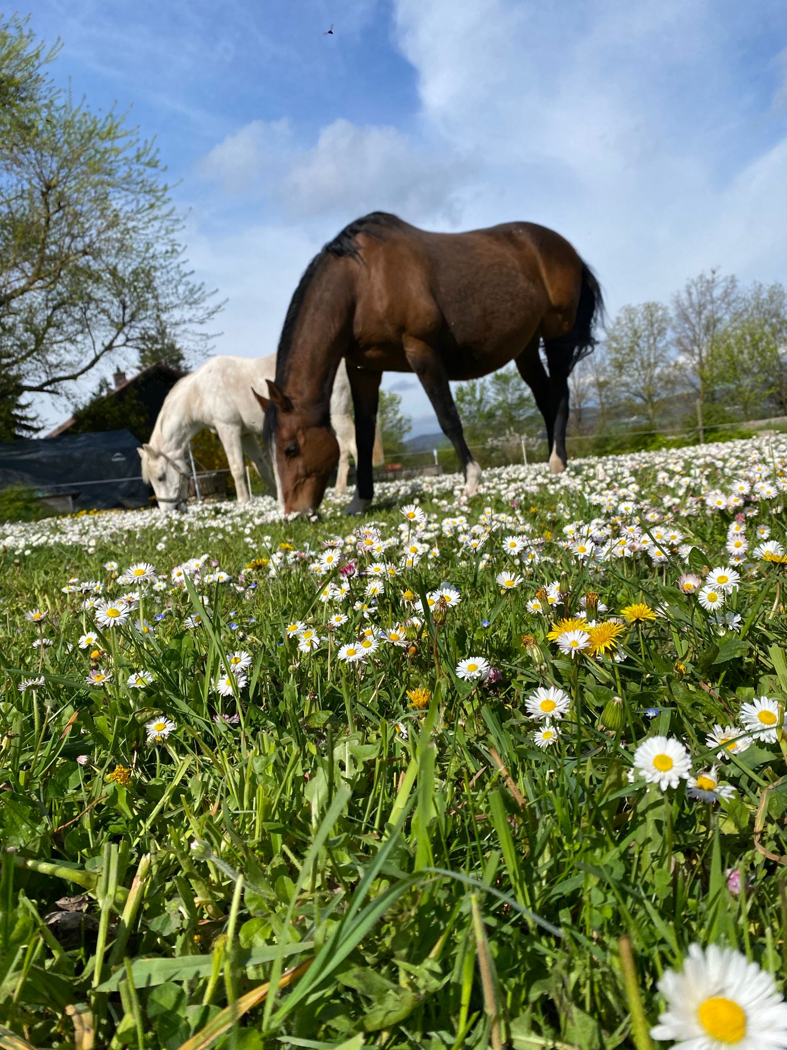 e1f78e7b-ae23-42c8-8f2e-41e629b9f00c