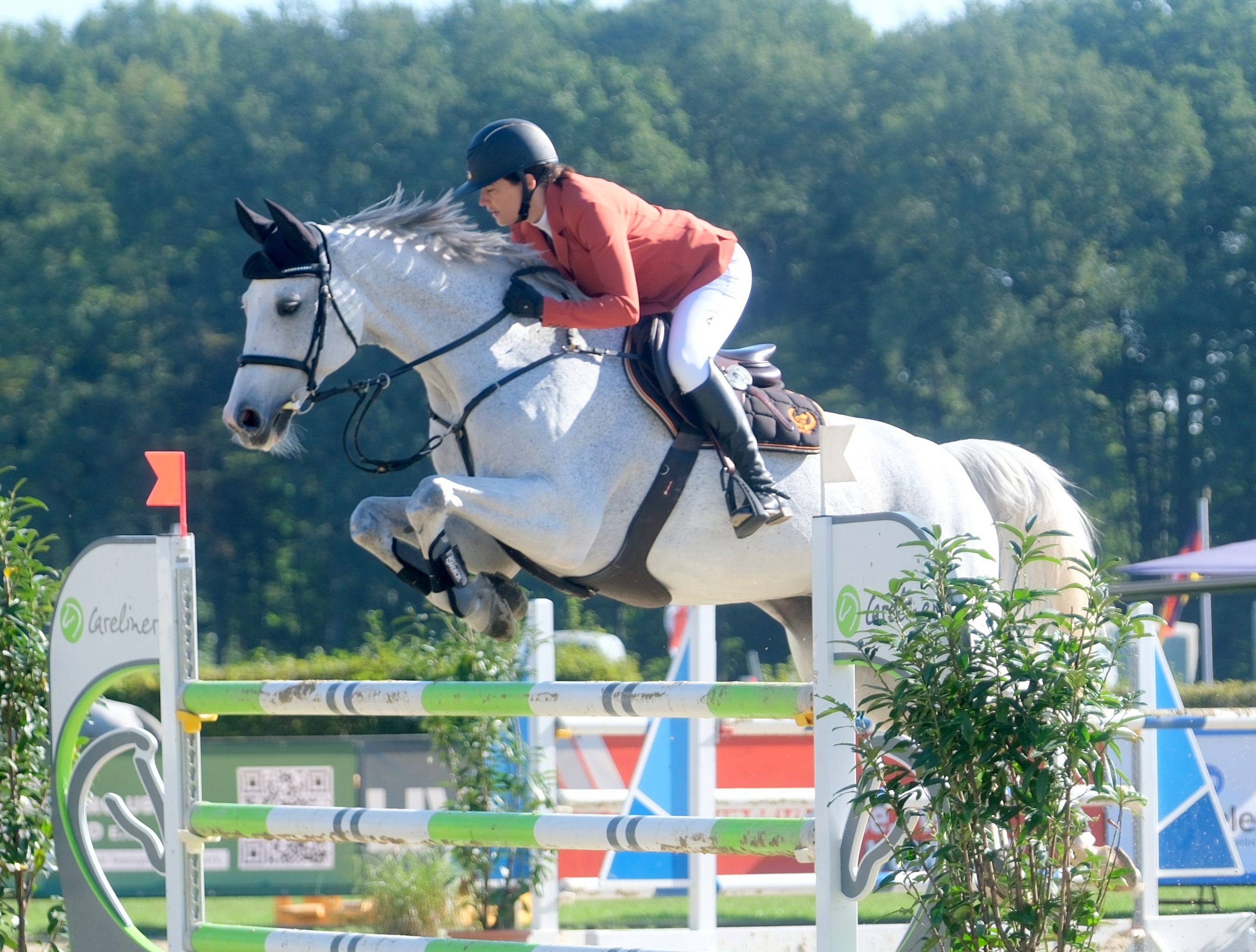 A DAM Sieger Championat Springen Schott 202