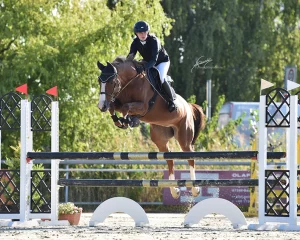 409dff58-65cf-4819-bcbe-80bb9edb58eb-400