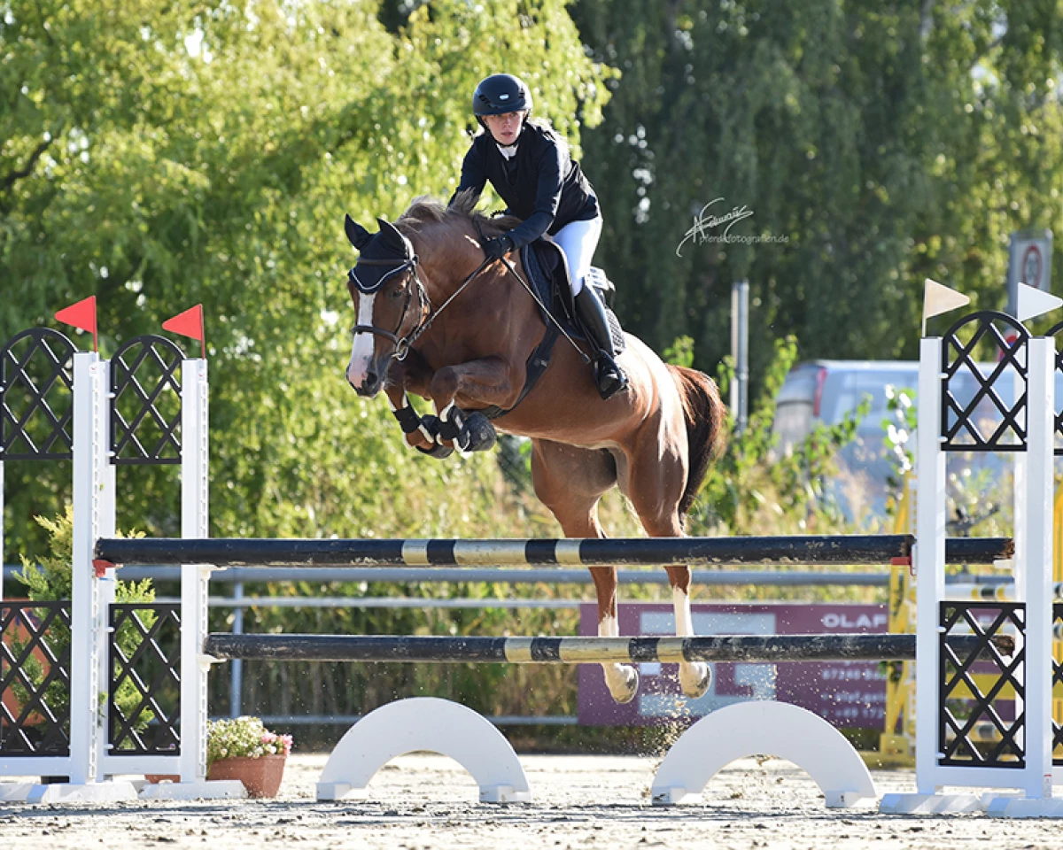 409dff58-65cf-4819-bcbe-80bb9edb58eb-400