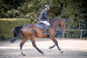 Schwetzingen-Nr.-2024.025.01.01-451